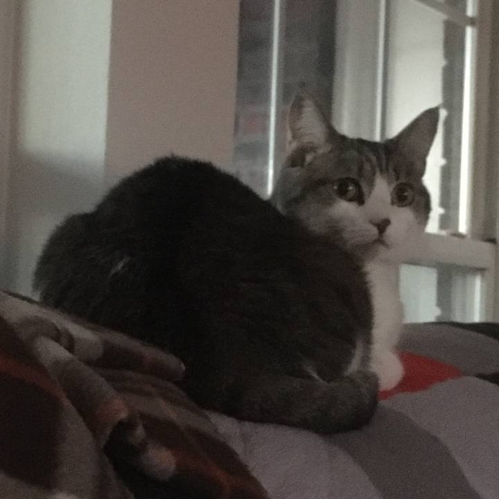 66c39a8c a0ae 4a0c bc2b 917a96810cc6 1645497214199