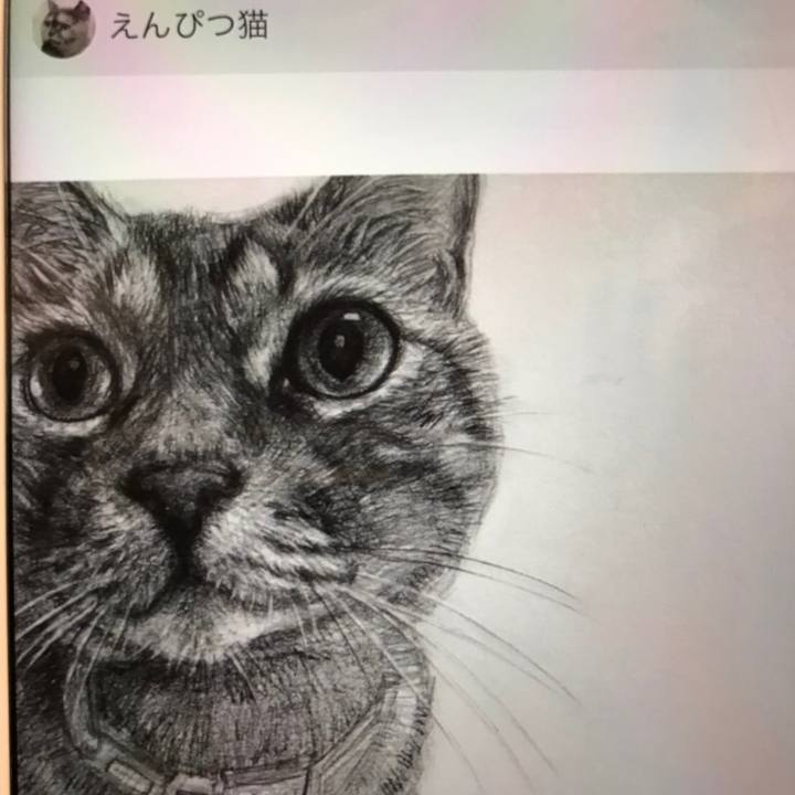 66c3b67d bdf7 4f49 980c d73c818e45bd 1580406623135