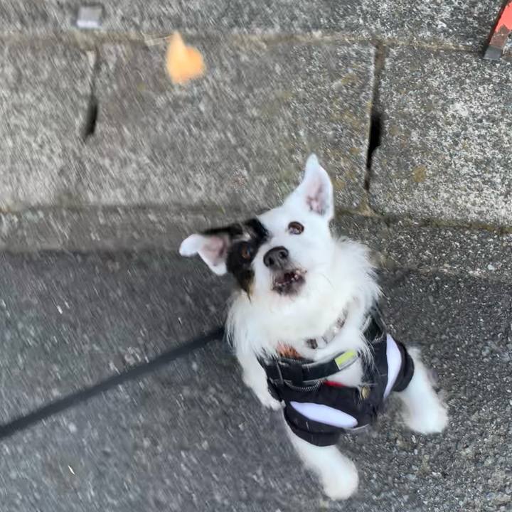 66c3c884 dc05 49d7 bf13 d9bbeadcc37b 1737596028108