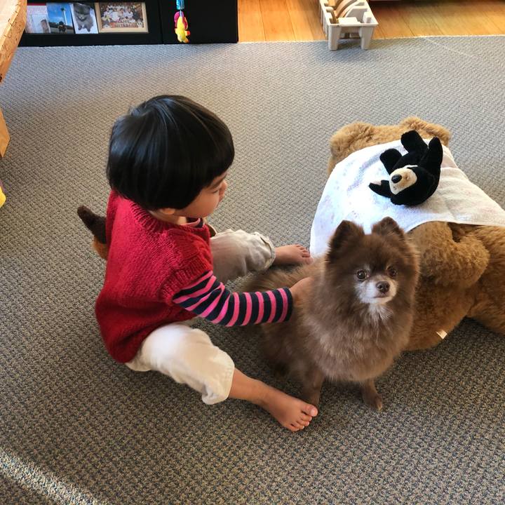 66c40411 9e6c 4f1a abf9 b81a72998759 1543272851940