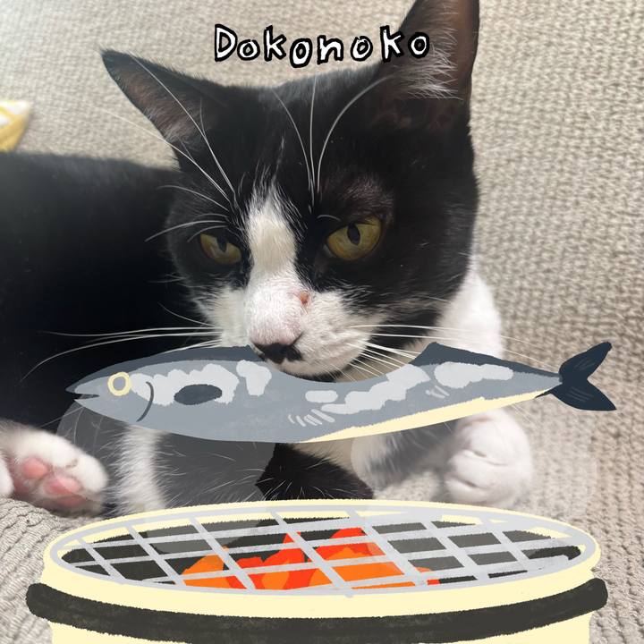 66c43464 747c 42ee 9793 94d14ca333e1 1761269349448