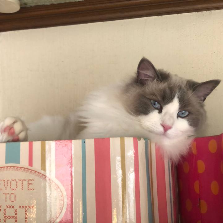 66c46c33 e000 4b84 bf7e 6a6eb3a0cbd1 1580620707688