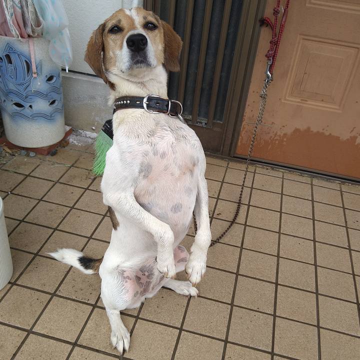 66c49815 5373 4e1b b36e e7b5aab9c8ce 1661138478002