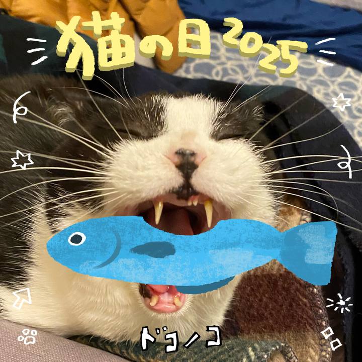 66c4b0ae b7d8 49fd b41d 77c1c776bb43 1740197072519