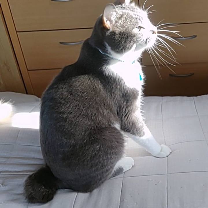 66c4b25e 2ffc 4e20 8137 8af9564b58d4 1656240003229