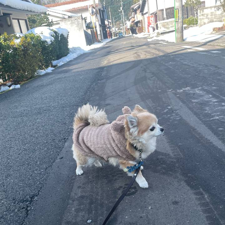 66c52311 80fe 4f29 a2aa 14f411baedb2 1766977914825