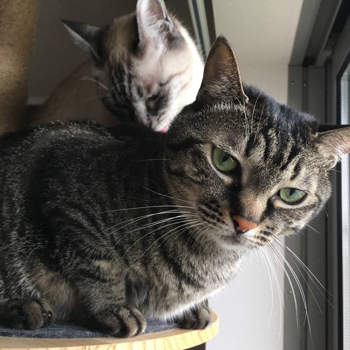 66c53c58 cff8 4ce5 b03d d36b6a0d8ec5 1593070326339