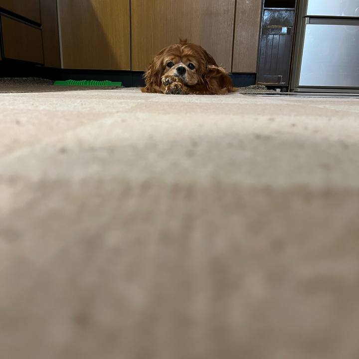 66c53ea0 eeff 44ef ad38 d43bcca9247f 1714900585636