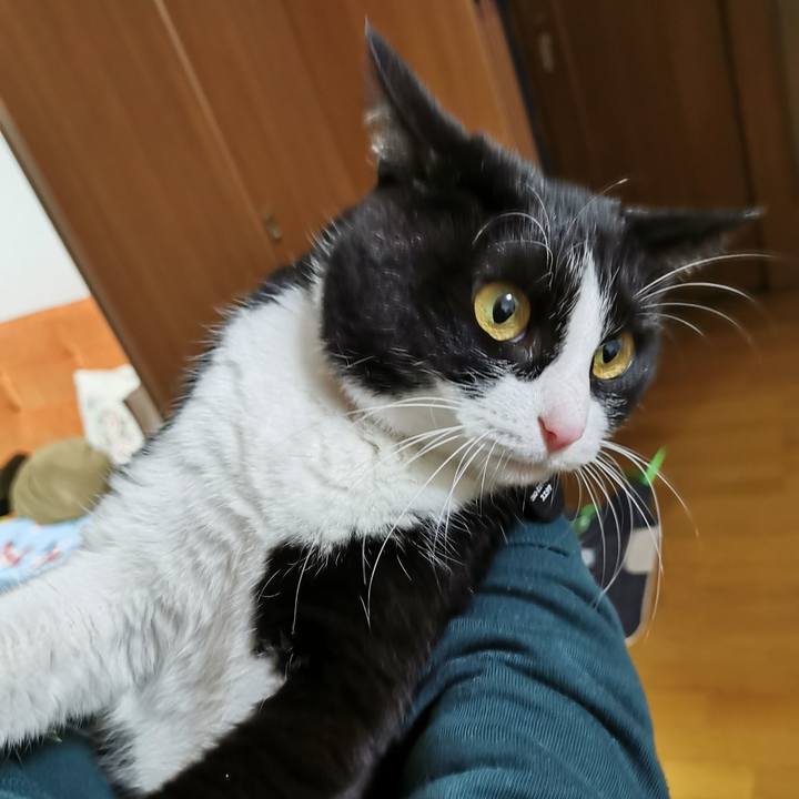 66c56e60 2013 4f3b 85e0 b7118b974c8d 1642048383041