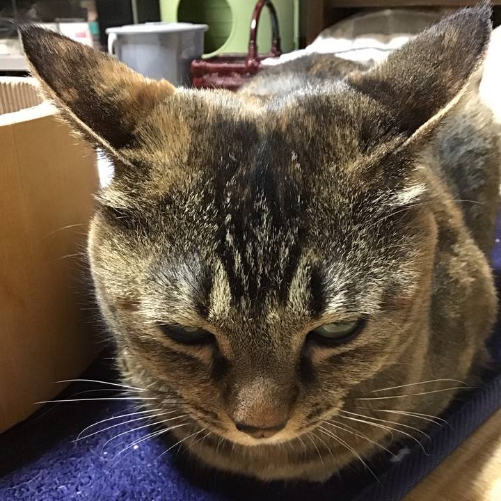 66c56fc6 de60 42d4 abc2 ca874abac94a 1735641636024