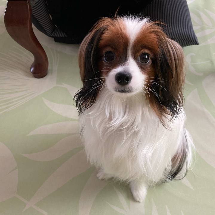 66c5738c 7fde 4b3f b50b 1d24d272e895 1631497335278