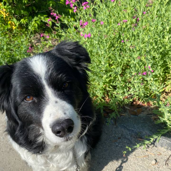 66c5765b d613 4edd bdd0 e6b8dff0bbf4 1618885844255