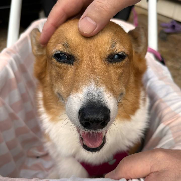 66c5775e 8aa7 43da a867 08f811a094a5 1729135371612