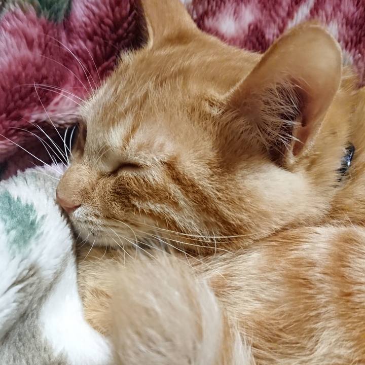 66c58242 6fb7 4a29 9833 5102ac2d3cbf 1637151085233