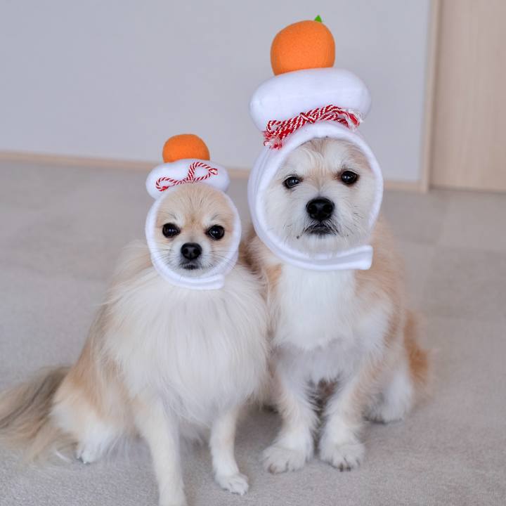 66c58460 ee96 4dea 8b56 c9759f7d4efa 1767219884574