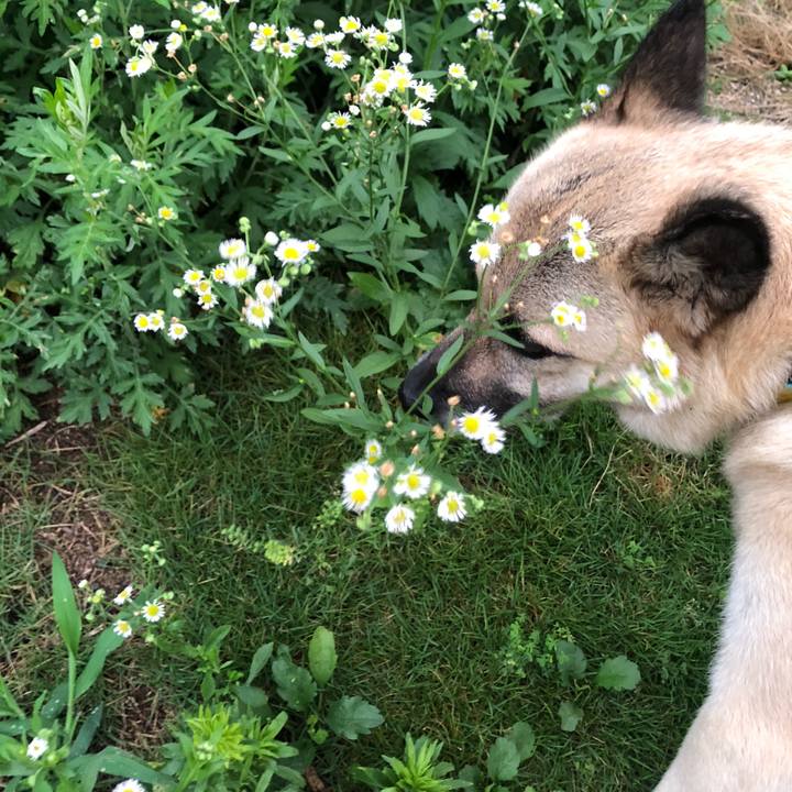 66c58756 ddea 48bc a855 a5fba48a2371 1625921127262