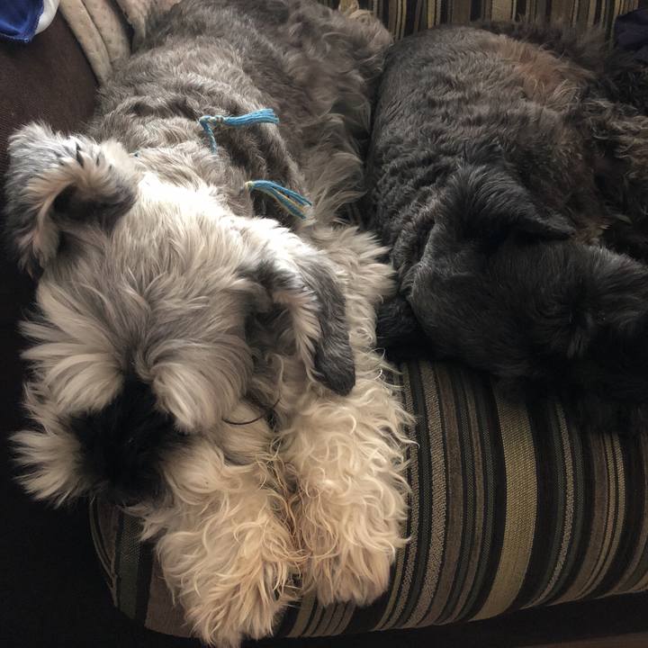 66c5a204 d349 427b 84b1 44b16d3e91a9 1534395185656