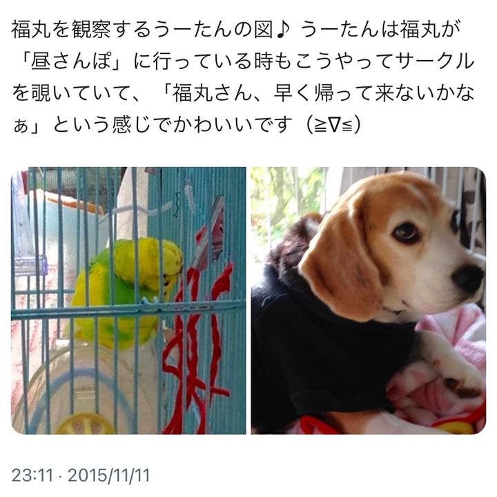 66c5da1f 3fa6 4502 96f6 6bff4bb32885 1731276548189