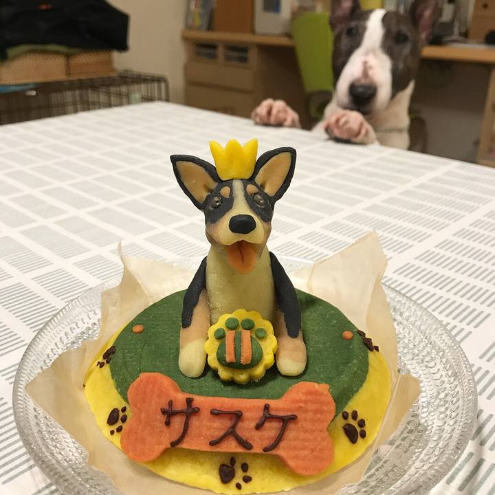 66c5e569 9605 40dc 9950 7169b6bbb861 1516797864634