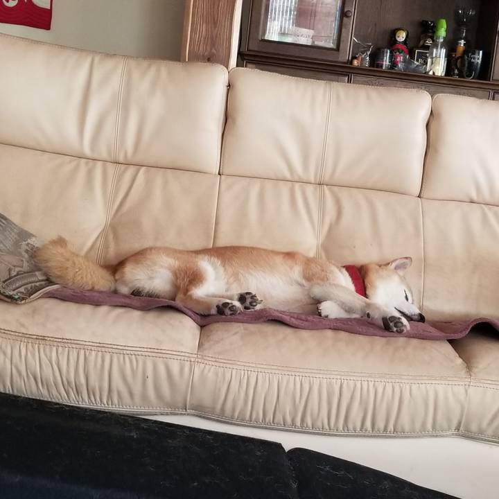 66c64544 2aac 4c29 940b 6ef8031ce67e 1752461374576