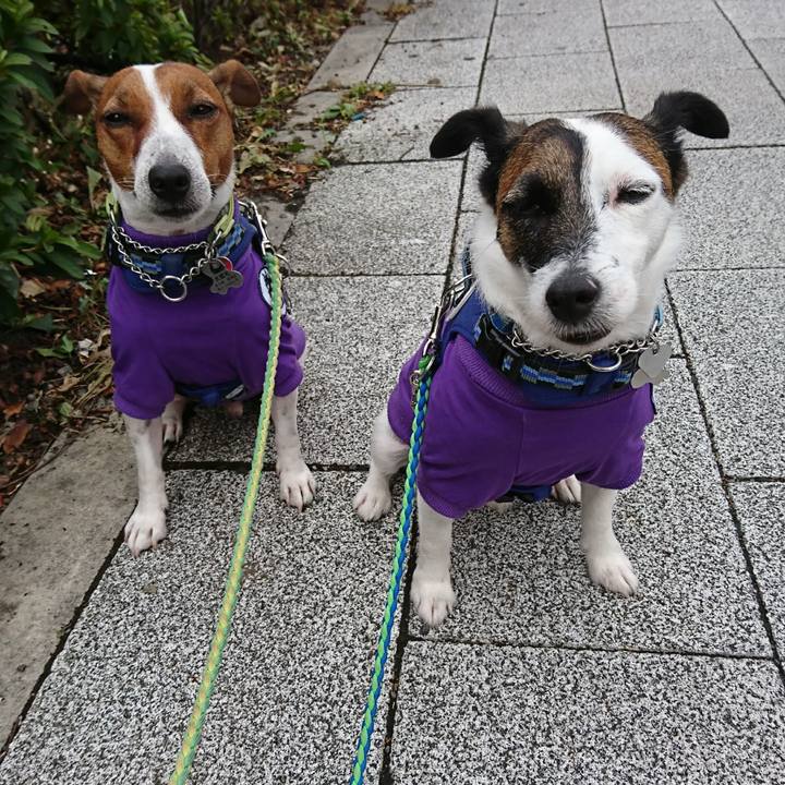 66c696cc 10ff 465d 91df d30ae699417c 1598915950840