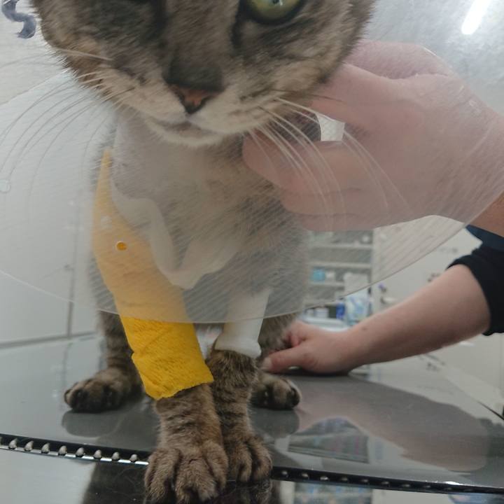 66c6bbc7 a4f6 4566 a8df 738448dc5d9b 1586250676860