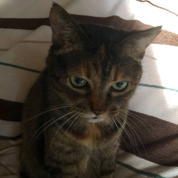 66c70e93 f53b 4975 9754 fbc801f2cd7a 1549777694415