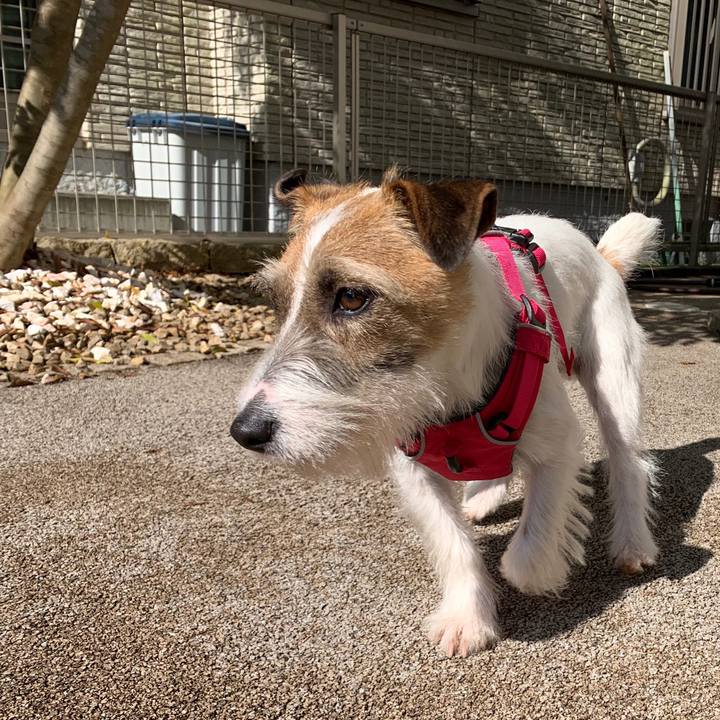 66c72d50 713d 461e b914 121252763902 1584253068135