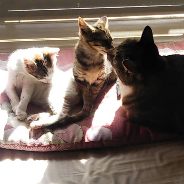 66c7710b b739 4f48 9360 52099035e49c 1639315455903