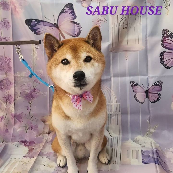 66c79b65 c1b2 4d20 ac8c 9ccf03c56421 1762588060208