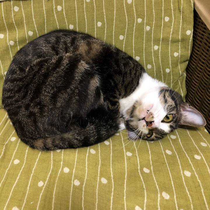 66c7dfef ab21 49d8 b629 6acc595a70b0 1541050612575