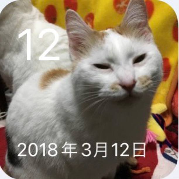 66c7e28b 4ef3 45b0 935d 93e0bcf28fec 1647076932214