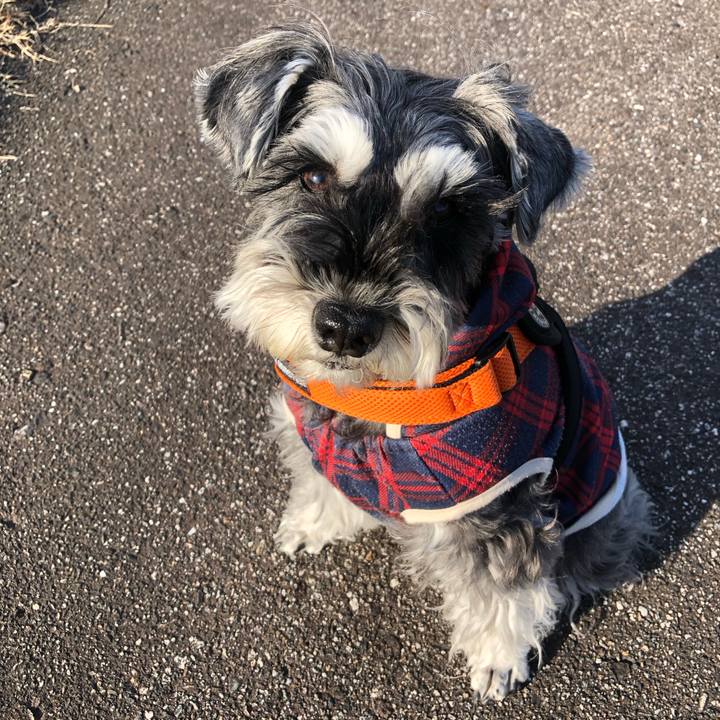 66c7e95a 252e 438a 89b5 cf7b389f2366 1701006434430