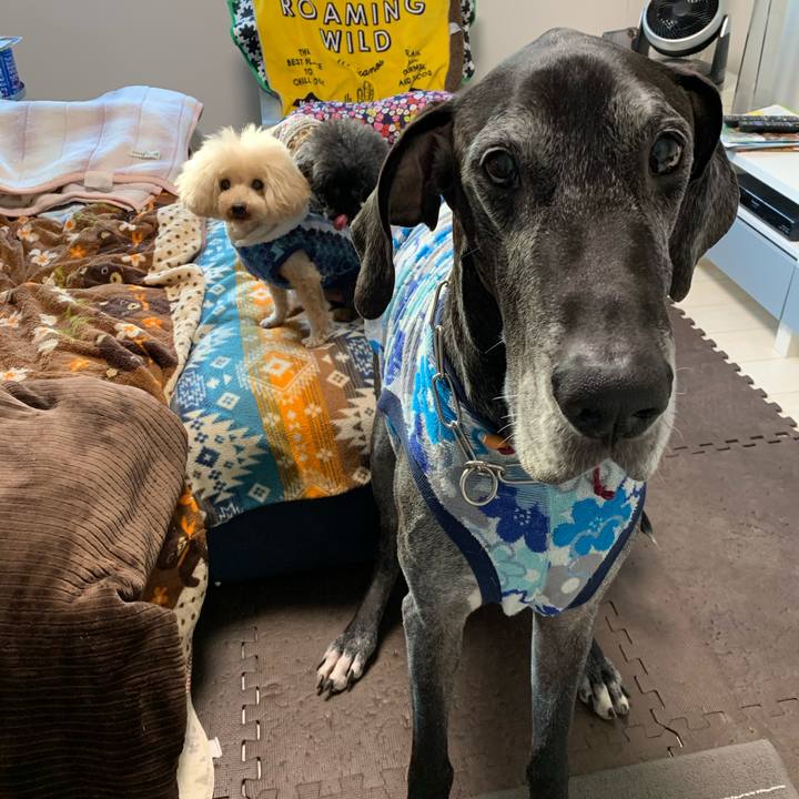 66c7fa3e 9071 4317 b6a2 c021b8b19399 1608762952405