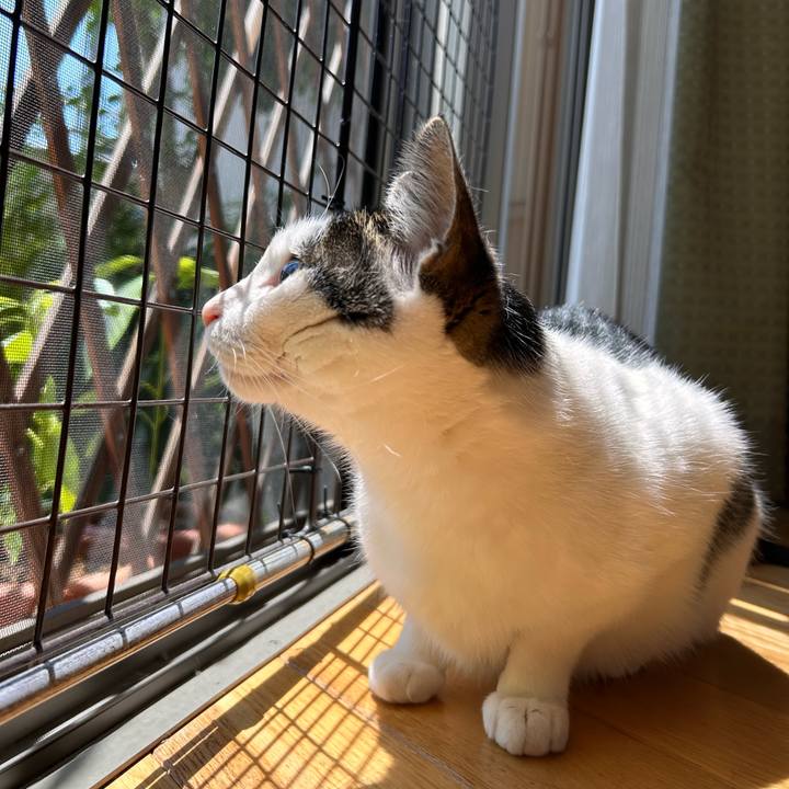 66c80541 df6d 4bc3 9f21 3e11531d7f56 1717561694820