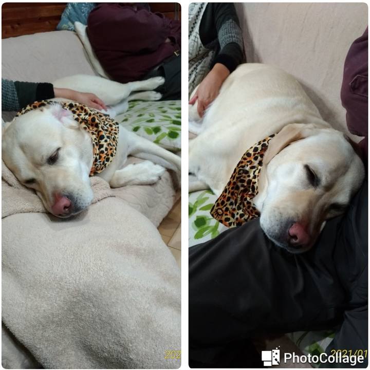 66c876a5 6812 4a05 bd38 4391bd5d5d90 1611585262372