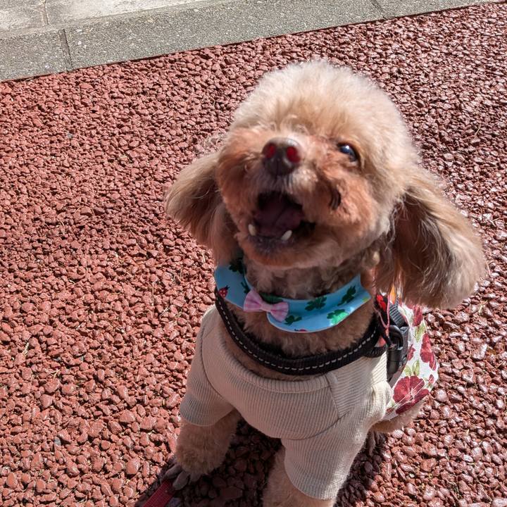 66c898cd 5fb0 4594 97be 3bb7a47cfa13 1773016111179