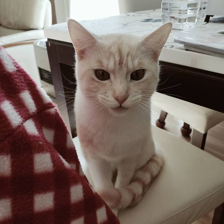 66c8b9cf 6fce 4a9b 8dbd 628ae53ea0b2 1642609079006