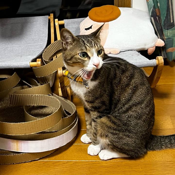 66c8cc93 d7aa 49d3 b788 8ce8a0e262d8 1754392819174