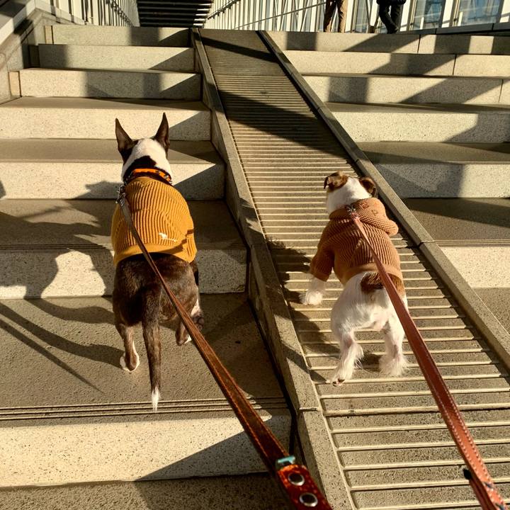 66c9447a b693 470b 8f18 bbb6184aceeb 1609405882077