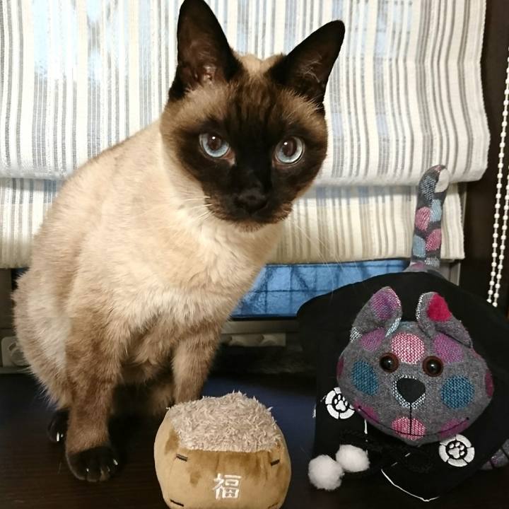 66c9485a 4987 4fd2 81ce 7c78f92e07fb 1548799549490