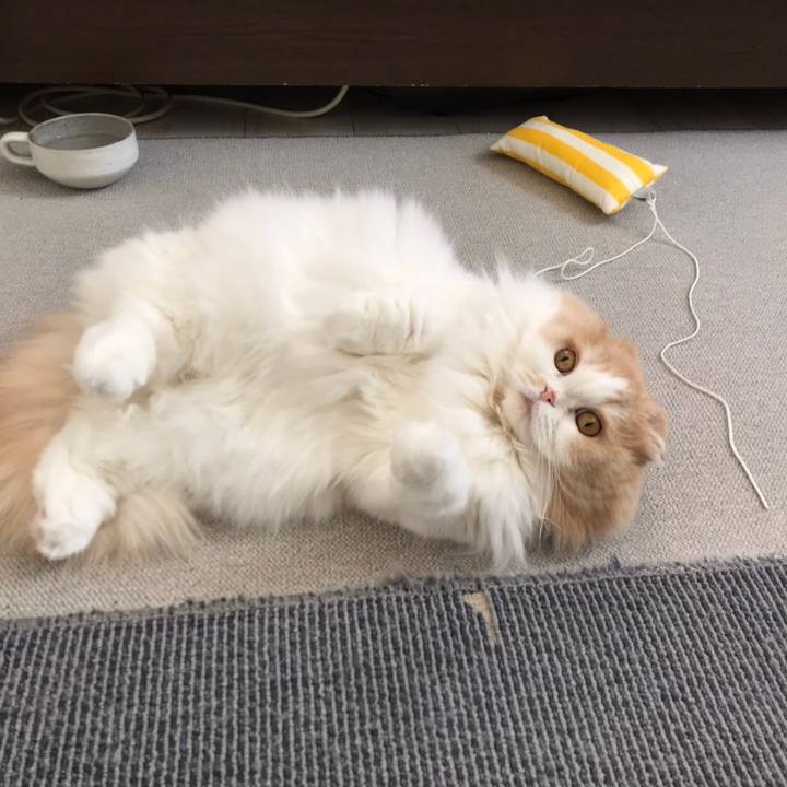 66c952b4 fa33 4484 b29a 3cff5d0ce19b 1575114960114