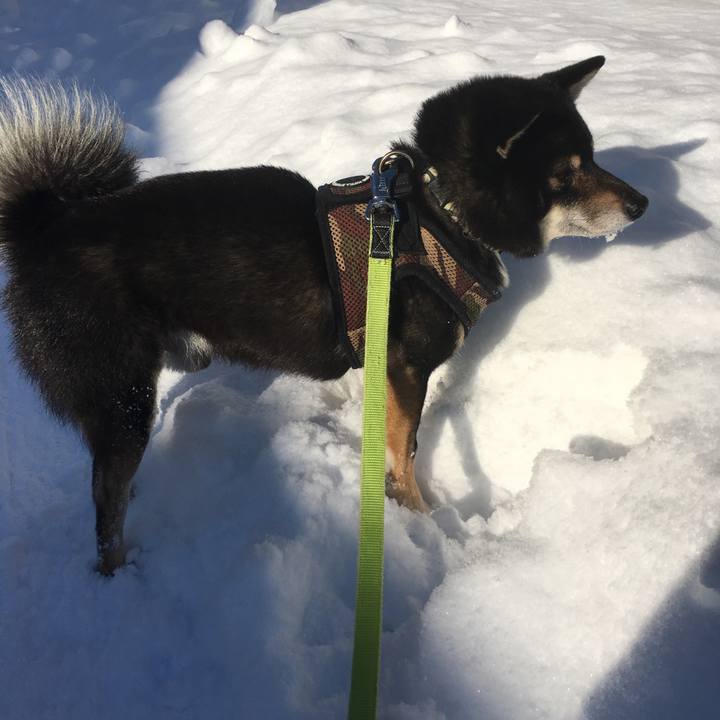 66c9569f 3b29 4c9f 9574 ed0db9449bdb 1512792315170