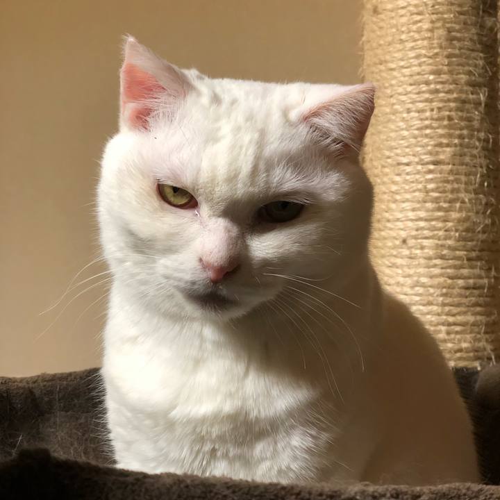 66c9b369 431c 4c6a 84dd 17db89145c1f 1556014948127