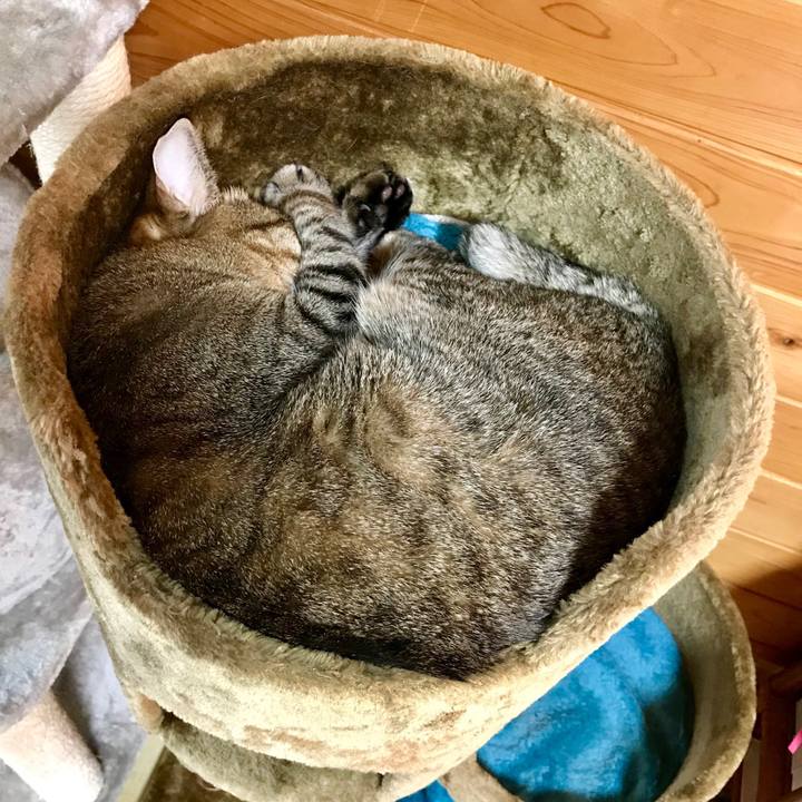 66c9c3e7 aba1 40a1 8e54 3d68281667c2 1527313800865