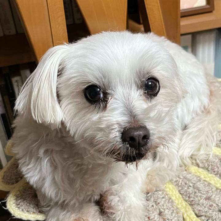 66c9cf45 0f31 4c3d abd9 539a0c4ab79b 1678621264259