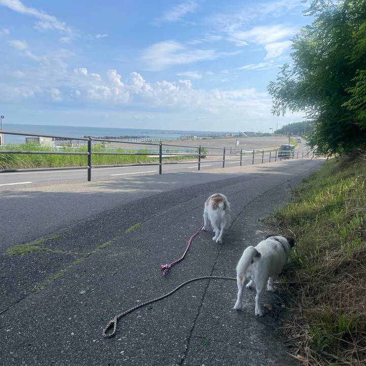 66c9e53e 34a7 4b22 8ceb 6e7910ae1ed4 1721536554816