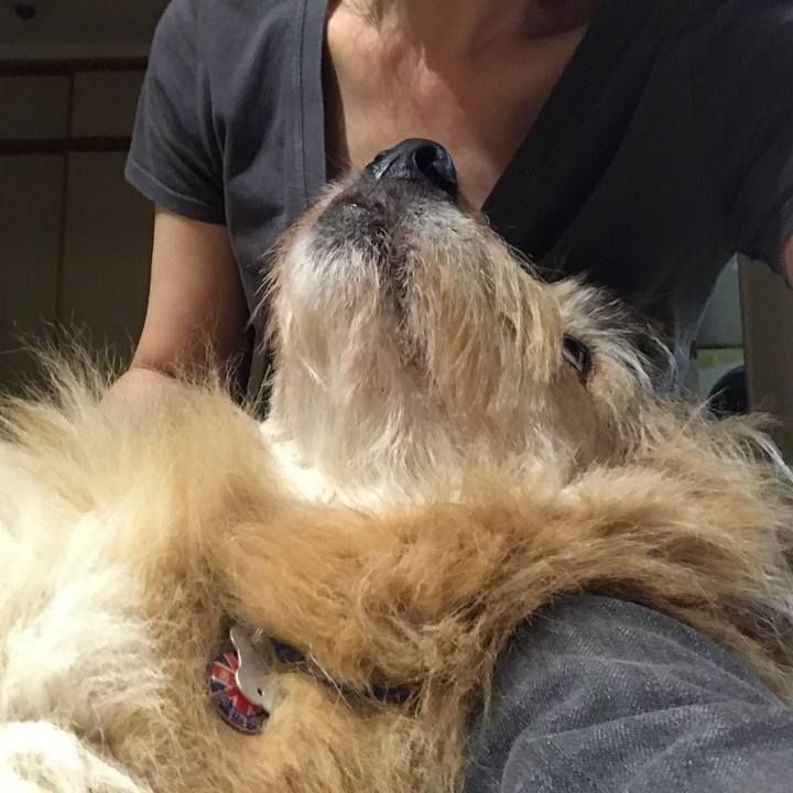 66c9e876 01bf 4938 bf02 ce10205821b0 1622390773693