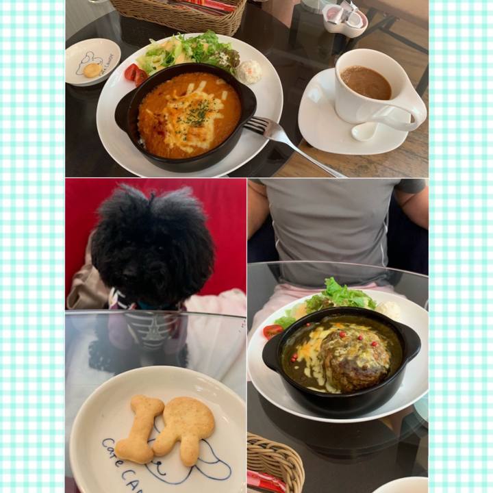 66ca2b5f 091c 4db9 98b4 cb9d104fa533 1559380376621