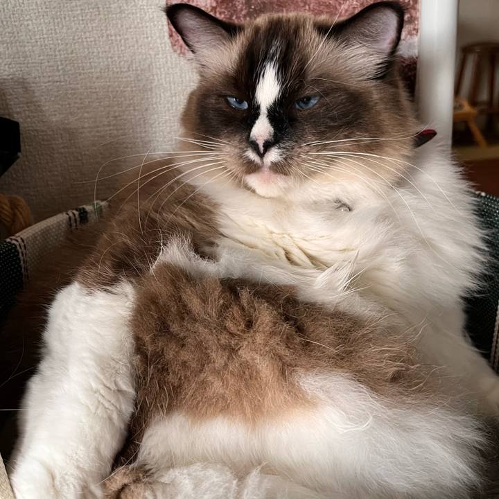 66ca5845 20c8 4607 ad8b 6ecc441ea482 1665894481376